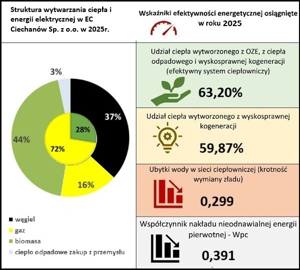 Infografika na stronę.JPG